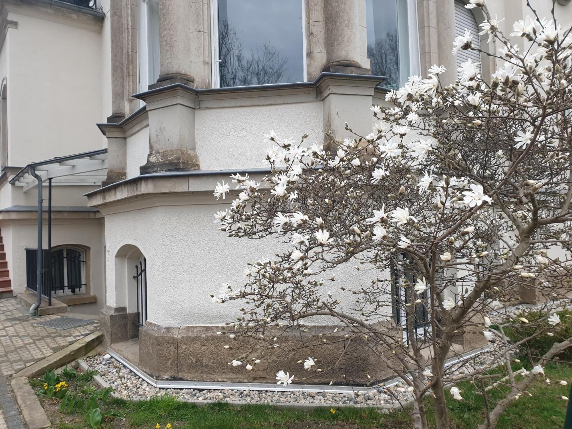 Wiener Palais Am Grossen Garten, Arbeitsplatz, Familie, 7 Pers, Smart-Tv Dresda Exterior foto